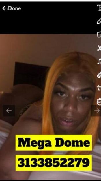 3133852279, transgender escort, Detroit