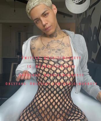 3139462162, transgender escort, Detroit