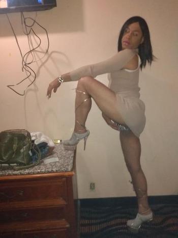 3139557290, transgender escort, Detroit