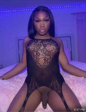 3134905662, transgender escort, Detroit