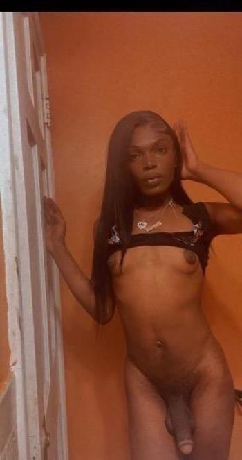 3134169852, transgender escort, Detroit